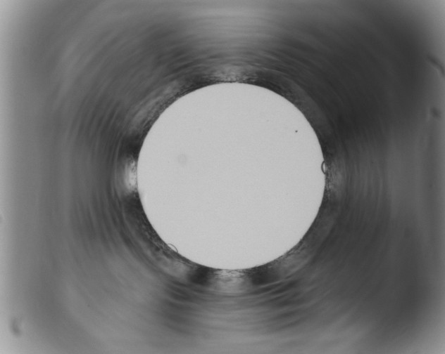 X0000103460095200810240959