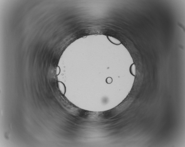 X0000103460096200810240959