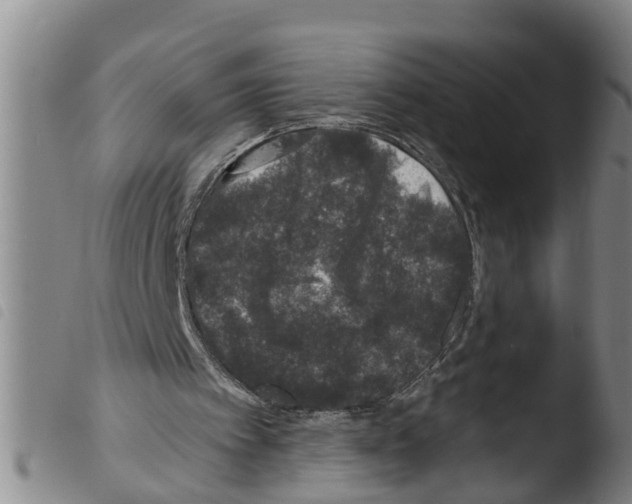 X0000103460097200810240959