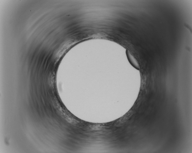 X0000103460098200810240959