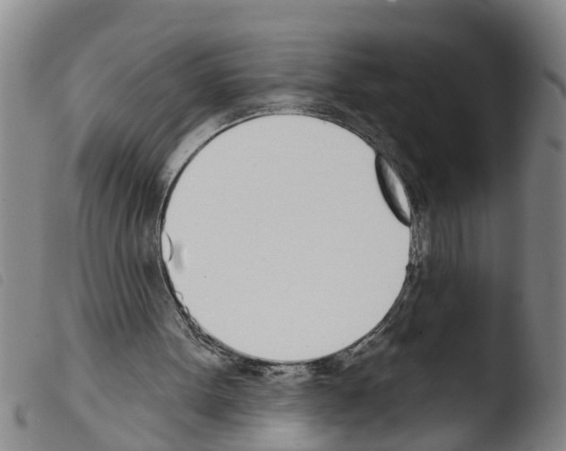 X0000103460099200810240959