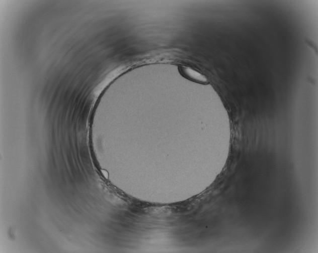 X0000103460100200810240959