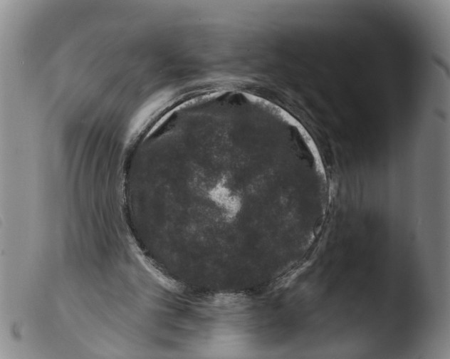 X0000103460101200810240959