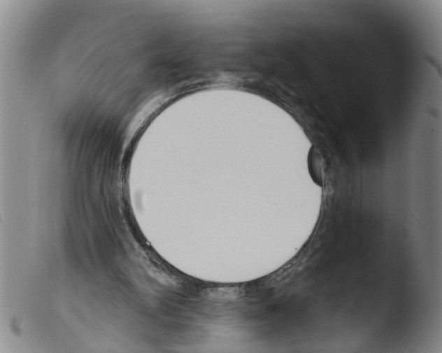 X0000103460102200810240959