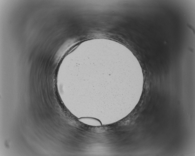 X0000103460103200810240959