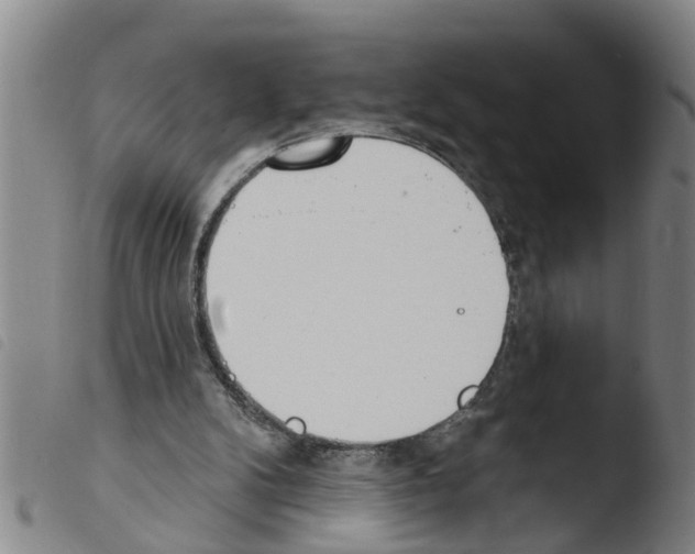 X0000103460104200810240959