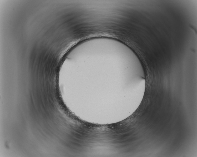 X0000103460112200810240958