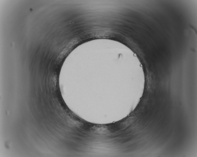 X0000103460113200810240958