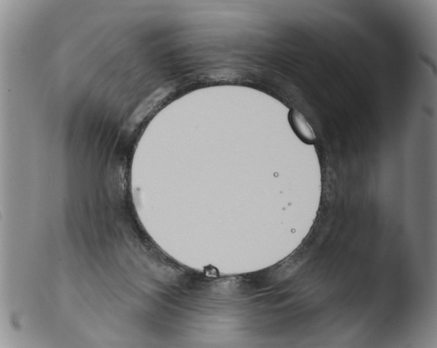 X0000103460116200810240958