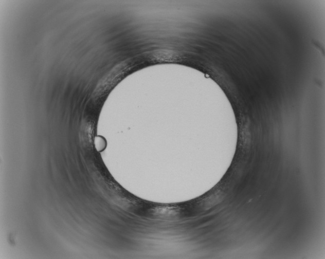 X0000103460117200810240958