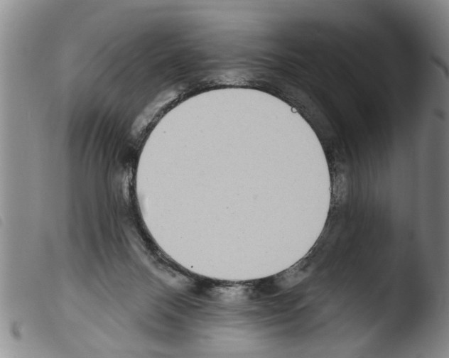X0000103460120200810240958