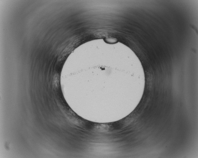 X0000103460125200810240958