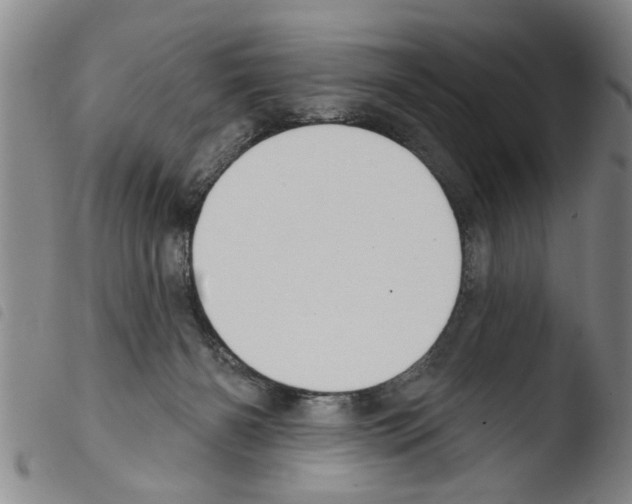 X0000103460126200810240958