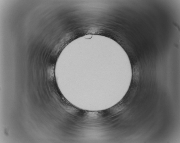 X0000103460127200810240958
