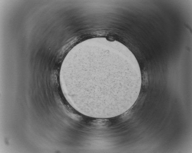 X0000103460128200810240958