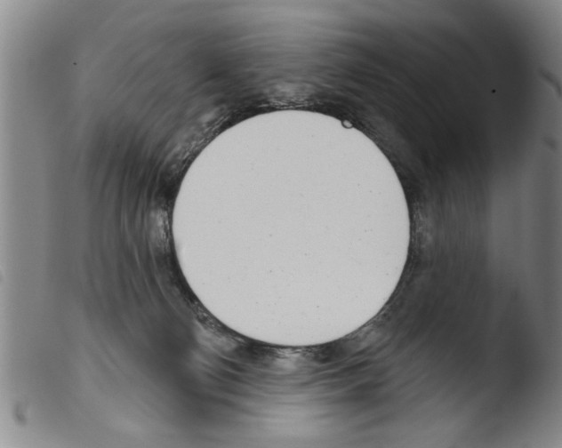 X0000103460130200810240958