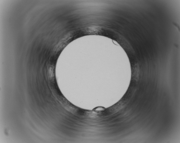 X0000103460131200810240958