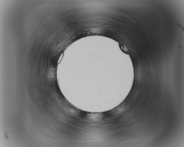 X0000103460135200810240958
