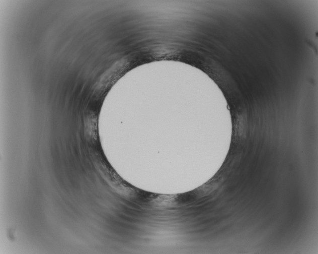 X0000103460138200810240958