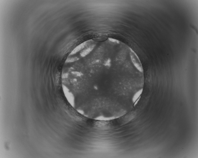 X0000103460139200810240958