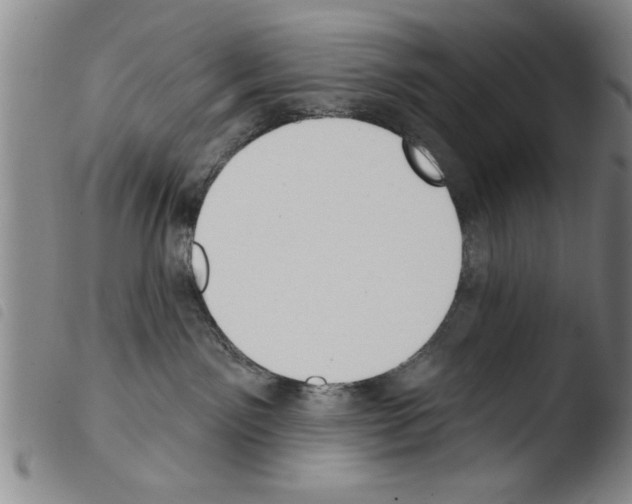 X0000103460141200810240958