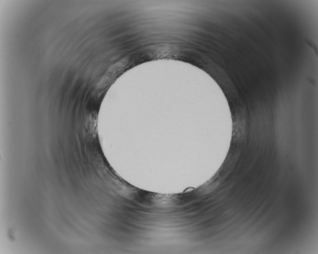 X0000103460142200810240958