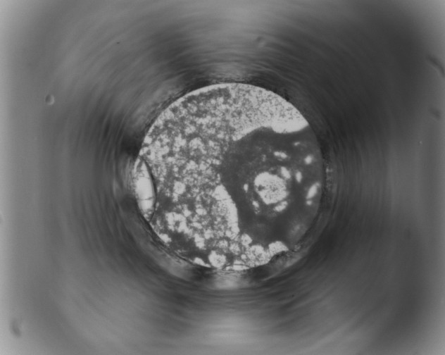 X0000103460143200810240958