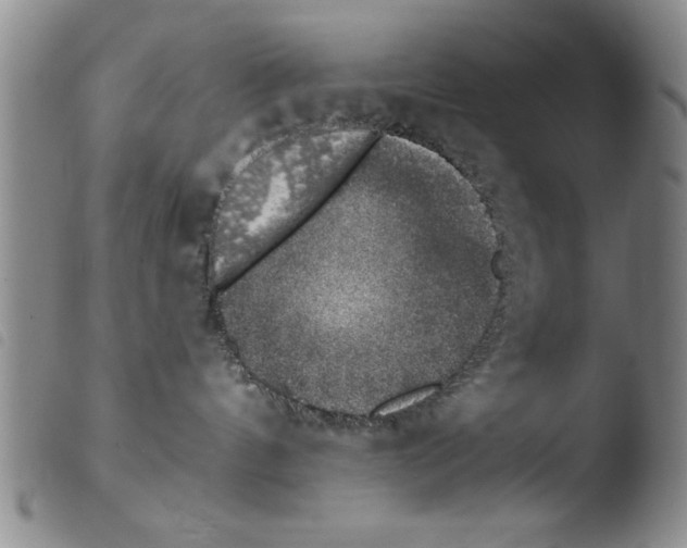 X0000103460144200810240958