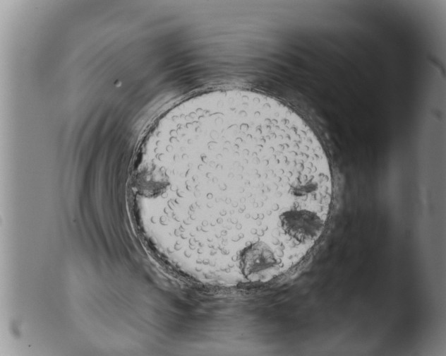 X0000103460145200810240957