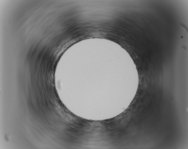 X0000103460146200810240957