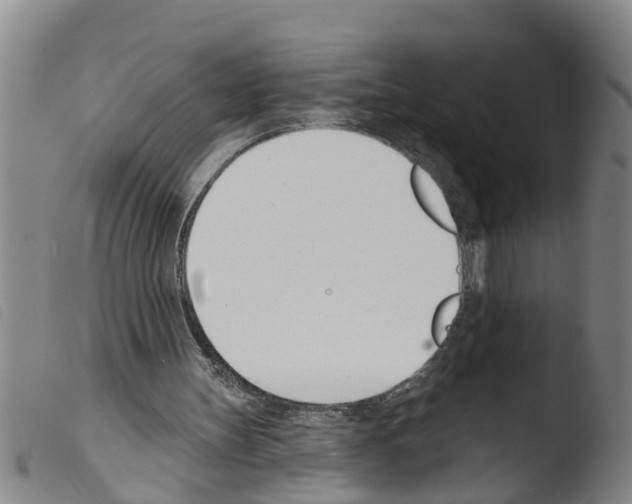 X0000103460147200810240957