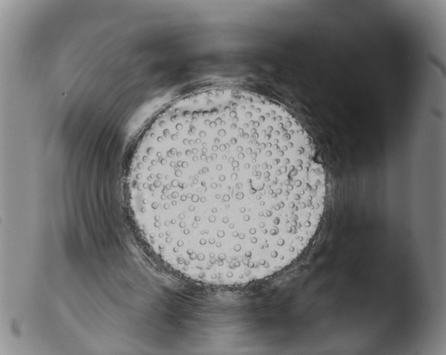 X0000103460149200810240957
