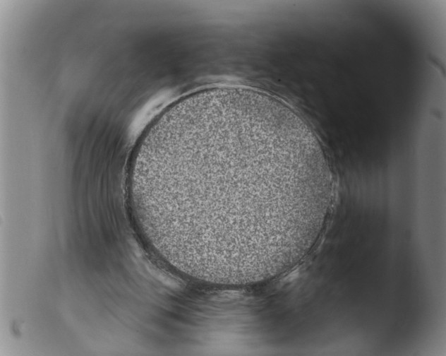 X0000103460151200810240957