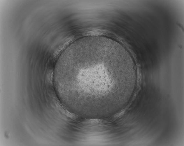 X0000103460153200810240957