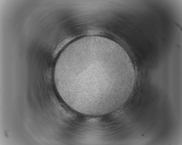 X0000103460155200810240957