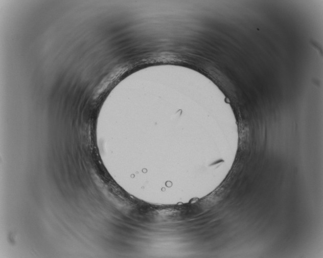 X0000103460158200810240957