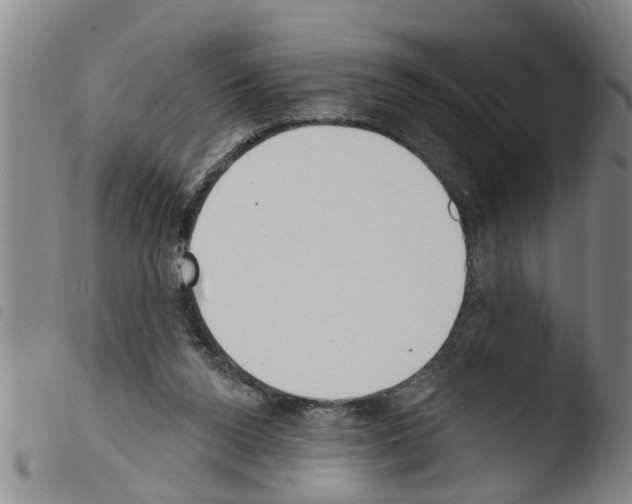 X0000103460160200810240957