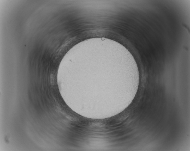 X0000103460161200810240957
