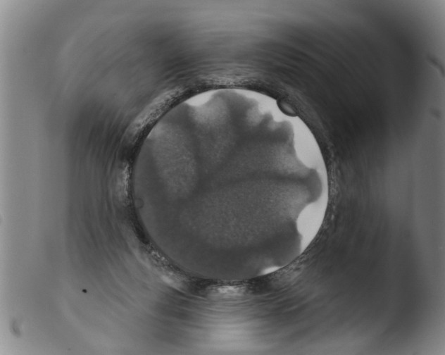 X0000103460163200810240957