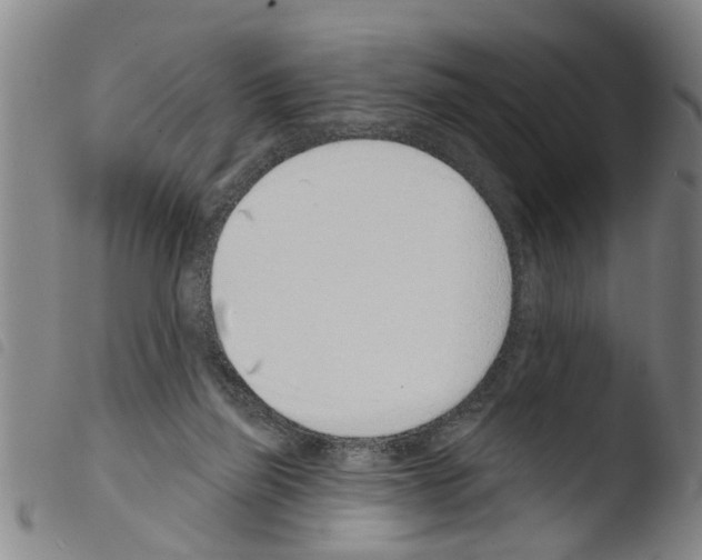 X0000103460165200810240957