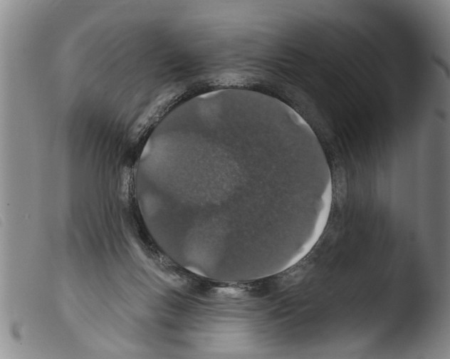 X0000103460167200810240957