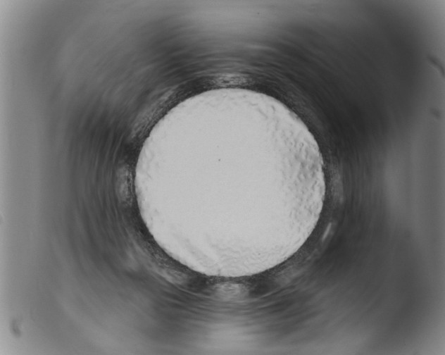 X0000103460169200810240957