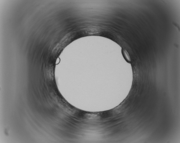 X0000103460170200810240957
