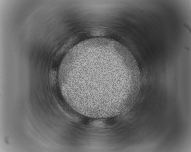 X0000103460171200810240957