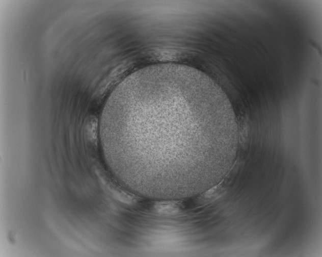 X0000103460175200810240958