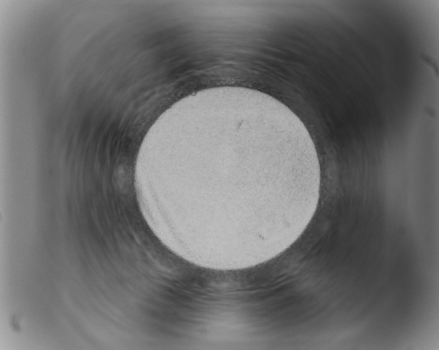 X0000103460177200810240958