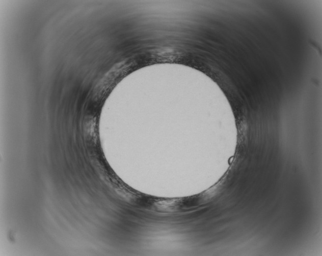 X0000103460178200810240958