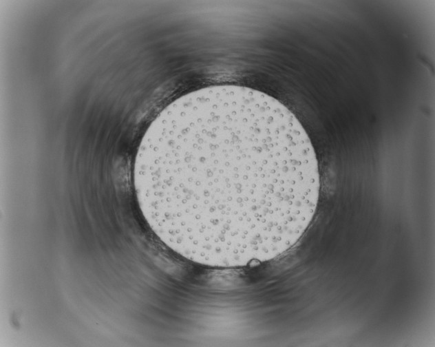 X0000103460179200810240958