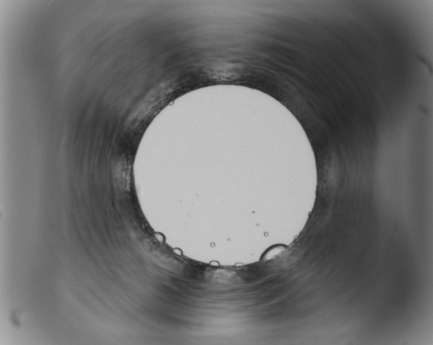 X0000103460180200810240958