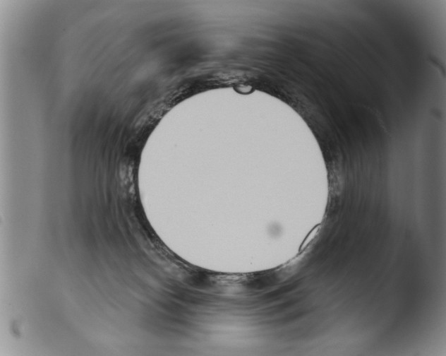 X0000103460182200810240958